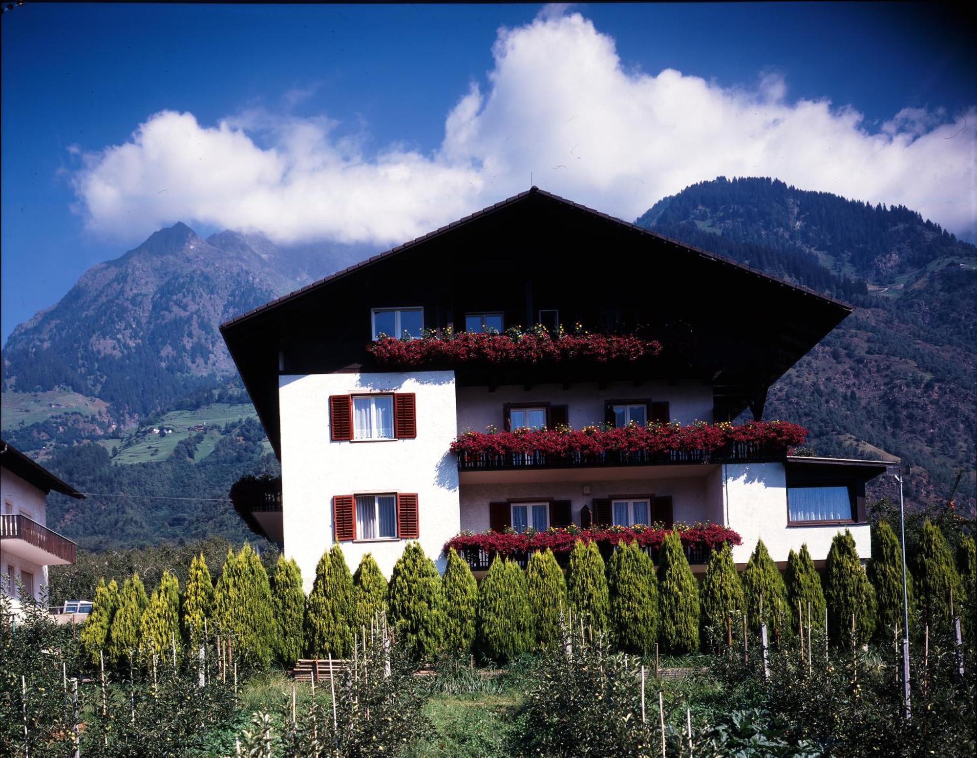 Pfoestlhof Bed & Breakfast Parcines Bagian luar foto