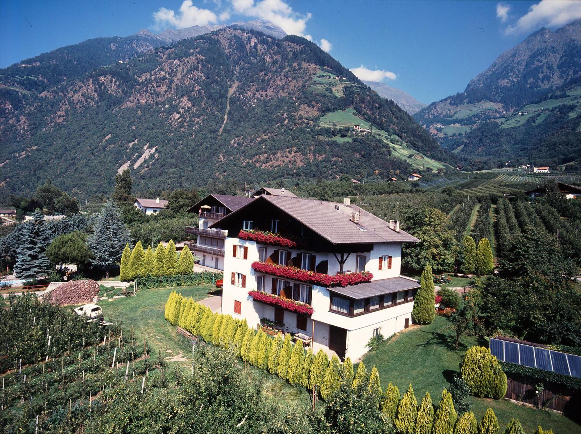Pfoestlhof Bed & Breakfast Parcines Bagian luar foto